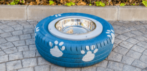 How to Make a DIY Water Bowl for Your Dog