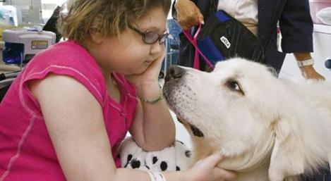 A little girl in a hospital with therapy dogs.