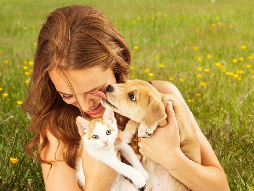 5 Reasons Pets are Good for Your Mental Health