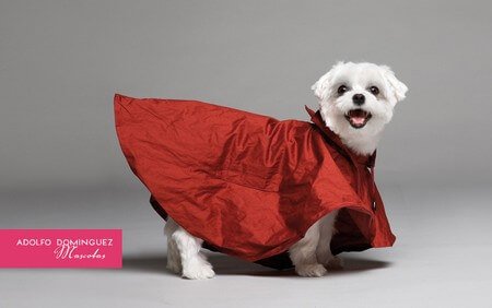 clothing collection for dogs rainproof coat
