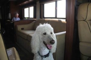 This 90-year-old woman travels the US with her dog