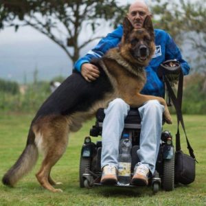 Lobo's unconditional love