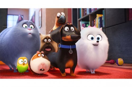 The Secret Life of Pets: Imaginative and Hilarious