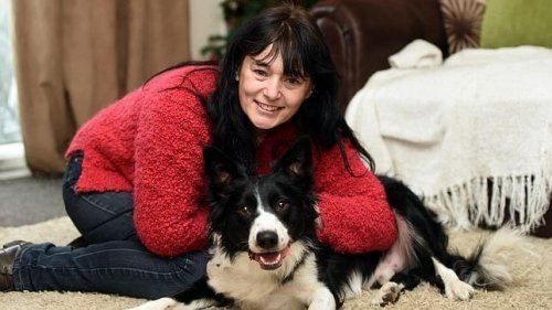 The Dog that Detected its Owner's Breast Cancer
