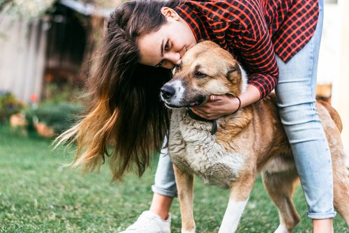 dog happy about arrival of his love