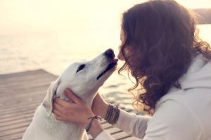 Nasty Infections You Could Get From Kissing Your Dog On The Mouth