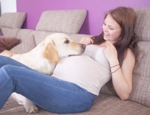 Pregnant woman and dog