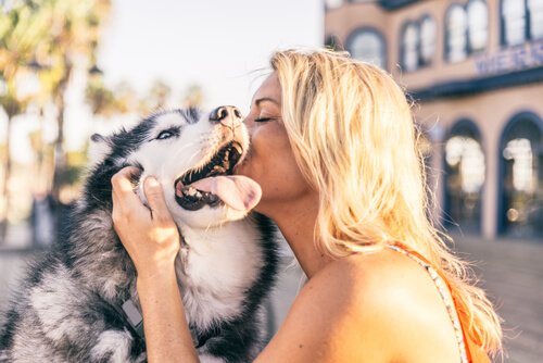 Doggy Kisses - Much More than just a Lick!