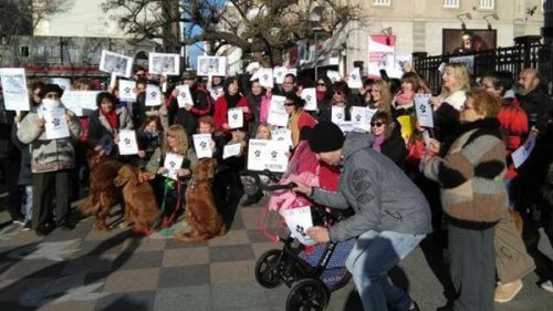 March in Defense of Animal Rights