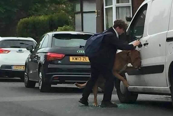 Bradley, a young man who saved a dog 2