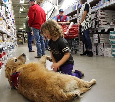 Child playing with the assistance dog