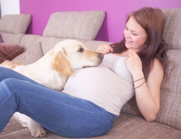 Pregnant woman with dog