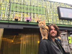 The Story of James Bowen and His Stray Cat Bob