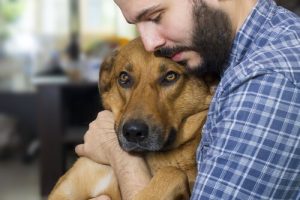 Is It Possible to Prevent Cancer in Dogs?