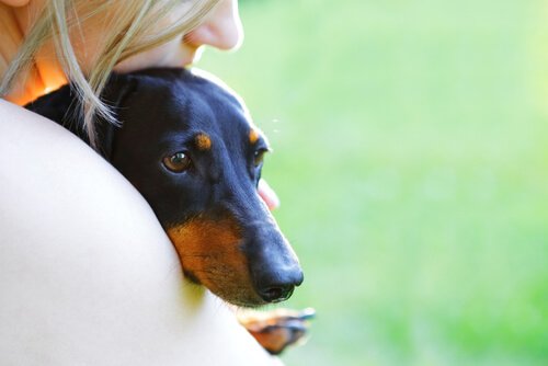 Woman holding a Dachshund