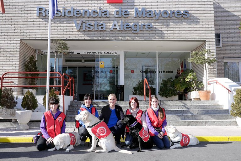 dog doctors in madrid