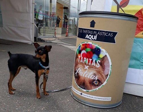 Recycling to help animals