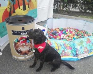 Recycling to help animals!