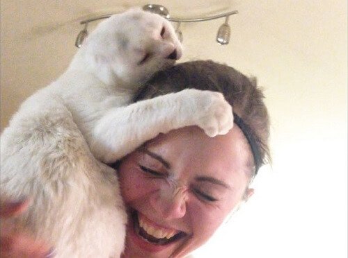 This Cat Helps His Owner Overcome Her Anxiety