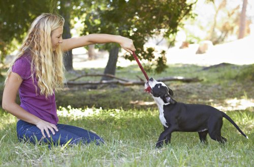 Girl playing with her dog