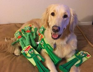 Dog Reacts to Owner Dressed as His Favorite Toy: Gumby