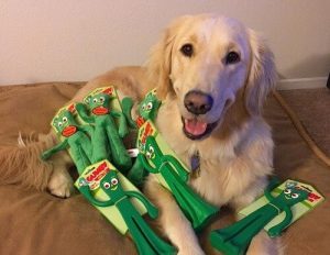 Dog Reacts to Owner Dressed as His Favorite Toy: Gumby