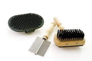 Some brushes you can use to groom your dog