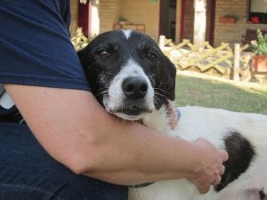 With You Until The End Of The World