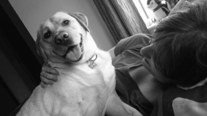 Dog Shows Her Love by Saving Epileptic Owner's Life