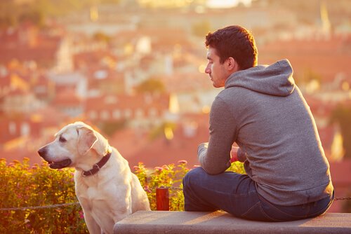 dog off leash with owner