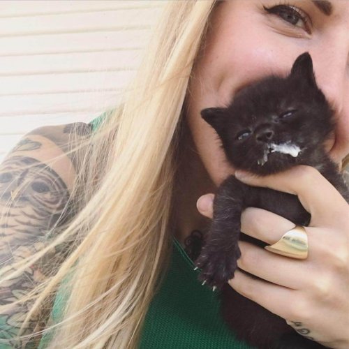 Kitten Lady holding a black kitten