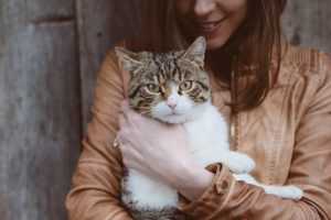 Toxoplasmosis in Cats