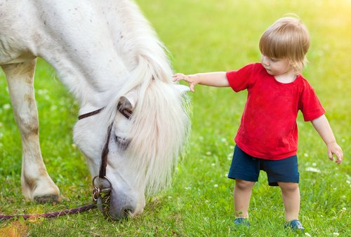 A toddler petting a pony 