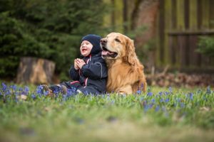 Best Dog Breeds for Children