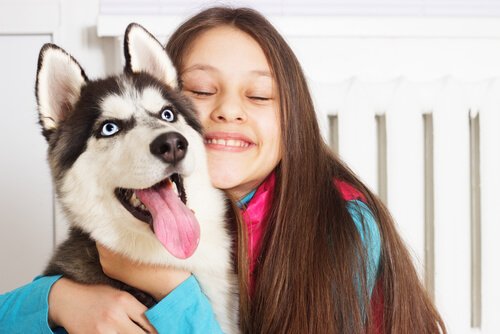 Young girl hugging a Siberian Husky