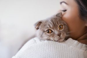 Feline Leukemia: Causes, Symptoms and Treatment