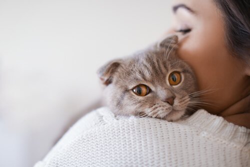 Feline Leukemia: Causes, Symptoms and Treatment