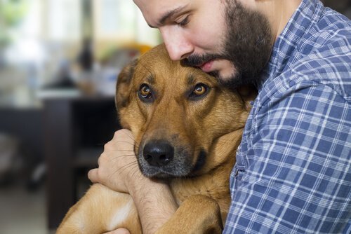 A man hugging his dog