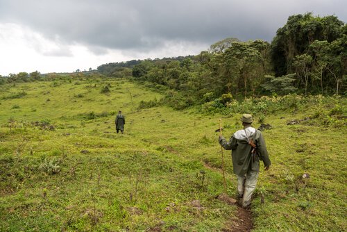 Men patrolling a nature reserve