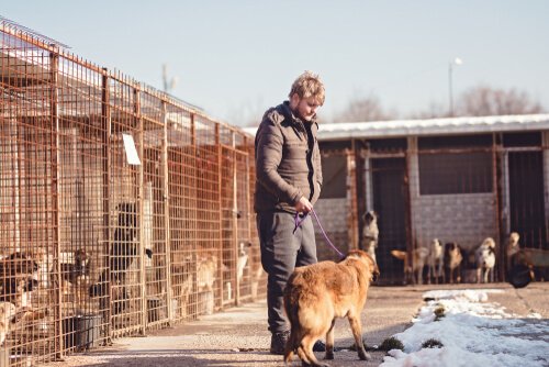 A man walking a dog from a shelter