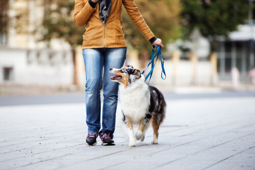 Woman walking her dog with slack on the leash