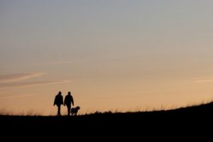 Bob The Dog That Got Lost On Vacation