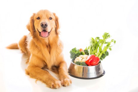 A dog next to a bowl of vegetable