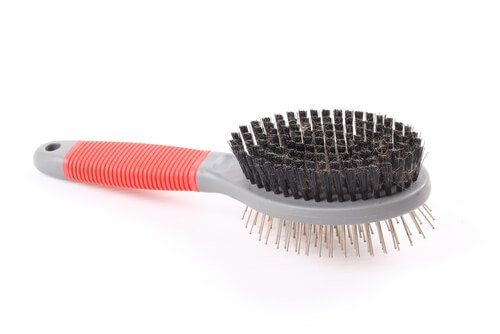 A dog grooming brush