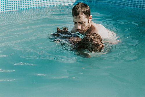 El propietario lleva a sus cachorros a la piscina