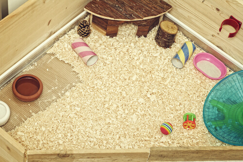 Guinea pig's cage that looks like a studio apartment