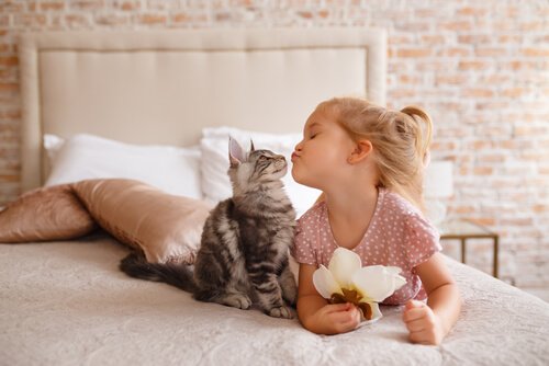 Cat socializing with a little girl