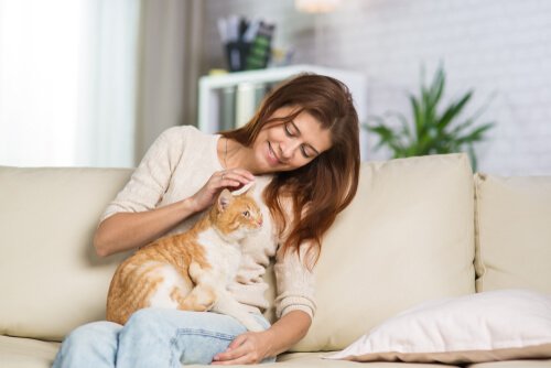 Woman playing with cat