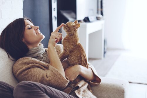 A woman seated in couch while she plays with her cat