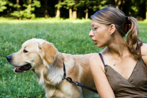 Your Dog Doesn't Pay Attention to You? Try These Tips!